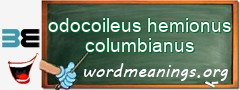 WordMeaning blackboard for odocoileus hemionus columbianus